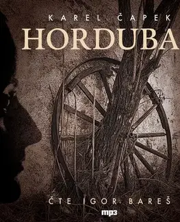 Svetová beletria Radioservis Hordubal