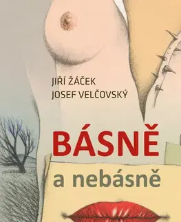 Česká poézia Básně a nebásně - Jiří Žáček,Josef Velčovský