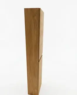Kúpeľňový nábytok Vysoká skrinka Naturel Project 40x157x21,8 cm dub medový mat PROJECTV40DM PROJECTV40DM