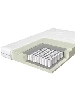 Taštičkové matrace Matrac Premium LX AA H2 100x200