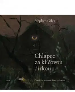 Detektívky, trilery, horory Chlapec za klíčovou dírkou - Stephen Giles,Veronika Lásková