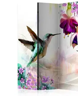 Paravány Paraván Hummingbirds and Flowers Dekorhome