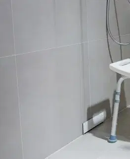 Doplnky do kúpeľne Stolička do sprchy s operadlom AWD Interior 1599 AWD02331599