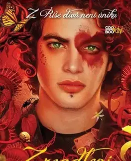 Fantasy, upíri Zrcadlení - A.G.Howardová