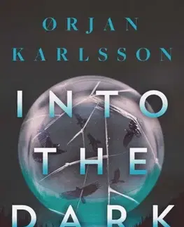 Detektívky, trilery, horory Into The Dark - Orjan Karlsson