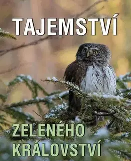 Česká beletria Tajemství zeleného království - Ota Bouzek