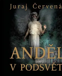 Detektívky, trilery, horory Tympanum Anděl v podsvětí