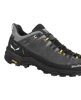Nízka outdoor obuv SALEWA Alp Trainer 2 Gore-Tex M Veľkosť: 41 EUR