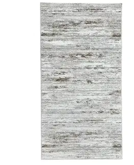 Moderné koberce Koberec Proxima 0,8/1,5 4952A PYT66 0173