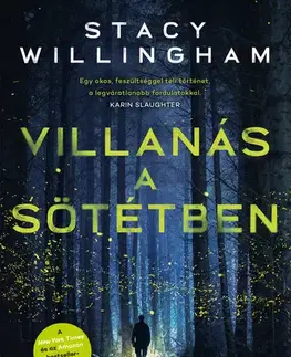 Detektívky, trilery, horory Villanás a sötétben - Stacy Willingham