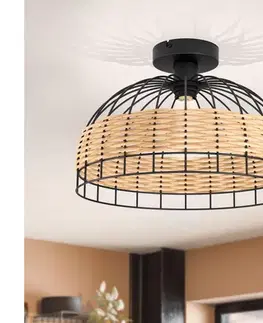 Svietidlá Eglo 43398 - Stropné svietidlo ANWICK 1xE27/60W/230V 43398