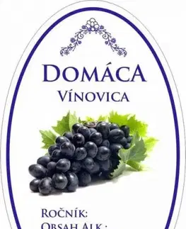 Samolepky na stenu Kinekus Samolepka domáca VÍNOVICA ovál fialová, 16ks etikiet