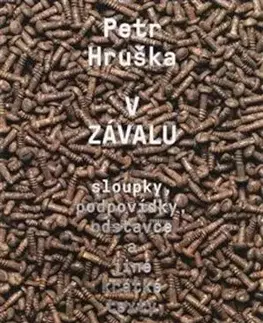 Eseje, úvahy, štúdie V závalu - Petr Hruška