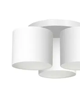 Svietidlá  Luster prisadený ARDEN 3xE27/60W/230V biela 3424