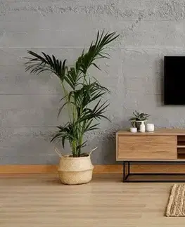 TV stolíky TV stolík Laxus 180 - Walnut
