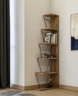 Regály ANTS policový regál, borovica/čierna