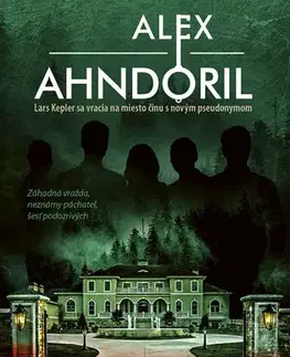 Detektívky, trilery, horory Nájdem ten kľúč - Alexander Ahndoril