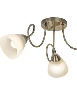 Svietidlá Rabalux 71481 - Prisadený luster PALOMINA 3xE27/60W/230V 71481