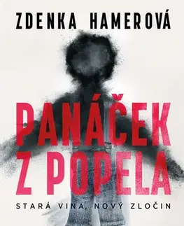 Česká beletria Panáček z popela - Zdenka Hamerová