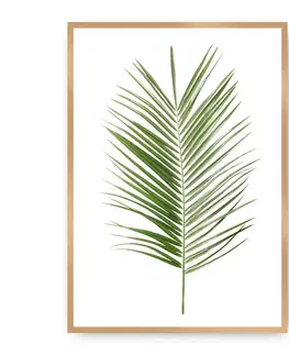 Obrazy Plagát Palm Leaf Green
