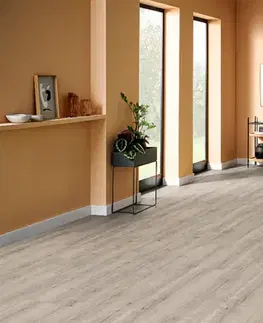 Aquadura plus EGGER Aquadura plus Dub savona šedý EDF206