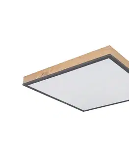 Svietidlá Globo 416080WD2 - LED Stropné svietidlo DORO LED/24W/230V 416080WD2