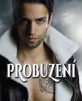 Detektívky, trilery, horory Probuzení - Martina Hohenberger