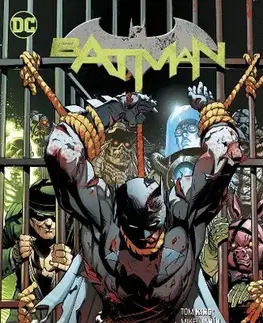 Komiksy Batman. Pád a padlí - Tom King
