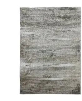Moderné koberce Koberec Frisee Legend 0,8/1,5 M669A FTA63