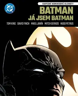 Komiksy Kapesní komiksové klenoty: Batman: Já jsem Batman - Tom King,Petr Zenkl,David Finch