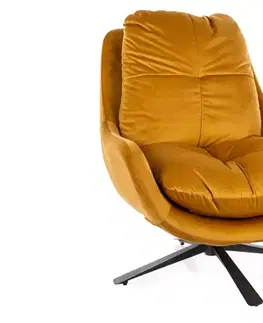 Kreslá Kreslo Vivien Velvet