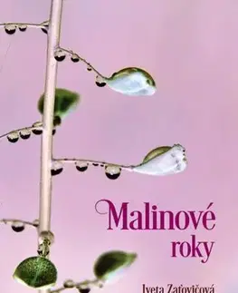 Slovenská beletria Malinové roky - Iveta Zaťovičová
