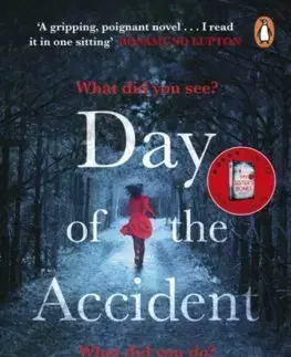 Cudzojazyčná literatúra The Day of the Accident - Nuala Ellwood