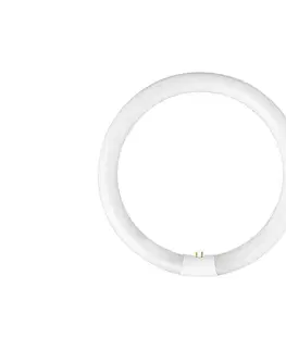 Svietidlá Žiarivková trubica YH G10q/28W/230V 6500K - Fulgur 03045 pr. 23 cm 03045