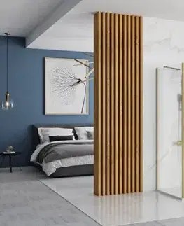 Sprchové dvere REA/S - Sprchový Rapid Slide Brush Gold Dvere: 110 x Sprchová zástena: 80 KPL-04710