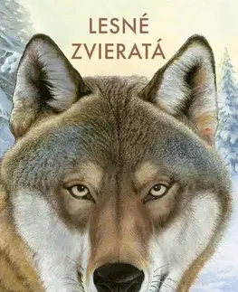 Príroda Lesné zvieratá - Holger Haag,Manfred Rohrbeck,Veronika Lašová