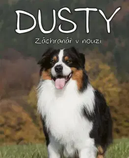 Rozprávky Dusty: Záchranář v nouzi - Jan Andersen