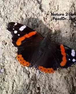 Encyklopédie pre deti a mládež - ostatné Nature for children, part 2 - János Zelenák