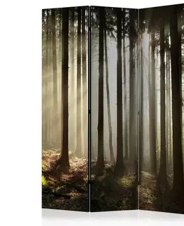 Paravány Paraván Coniferous forest Dekorhome