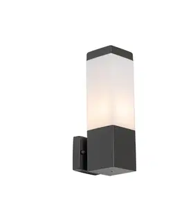 Vonkajšie nástenné svietidlá Moderná vonkajšia nástenná lampa tmavosivá s opálom - Malios