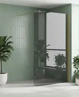 Sprchové dvere REA/S - Sprchová zástena Flexi Grey / Gold 120 KPL-K99782