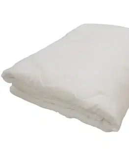 Bytový textil Paplón leto 200 x 220 cm