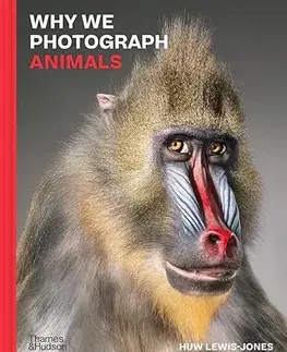 Fotografia Why We Photograph Animals - Huw Lewis-Jones