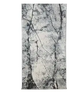 Moderné koberce Koberec Bellariva 0,8/1,5 C3260A 74F 13