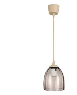 Svietidlá BRILAGI - LED luster na lanku R GLASS 1xE27/60W/230V pr. 17 cm béžová / dymovo béžová NSTK7393+TK8619A