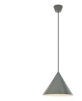 Svietidlá Markslöjd 109162 - Závesný luster na lanku TIP 1xE27/60W/230V pr. 37,5 cm sivý 109162