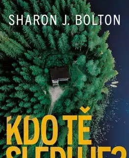 Beletria - ostatné Kdo tě sleduje? - Sharon J. Bolton