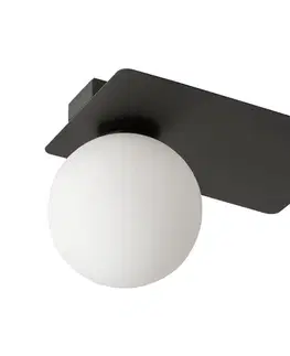 Svietidlá  Stropné svietidlo ARGON 1xG9/12W/230V čierna 33273