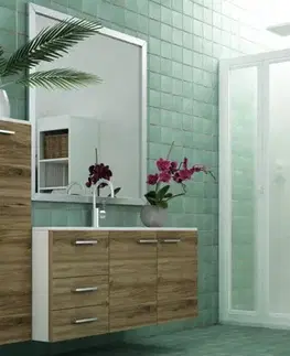 Sprchové dvere FORTE - Sprchová zástena DOMINO - Farba rámu zásteny - Plast biely, Rozmer A - 80, Smer zatváranie - Univerzálny Ľavé / Pravé, Výplň - Polystyrol 2,2 mm (acrilico), Výška - 185 BSDOM83P