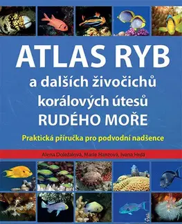 Biológia, fauna a flóra Atlas ryb a dalších živočichů korálových útesů Rudého moře - Alena Doležalová,Marie Hanzová,Ivana Hrdá